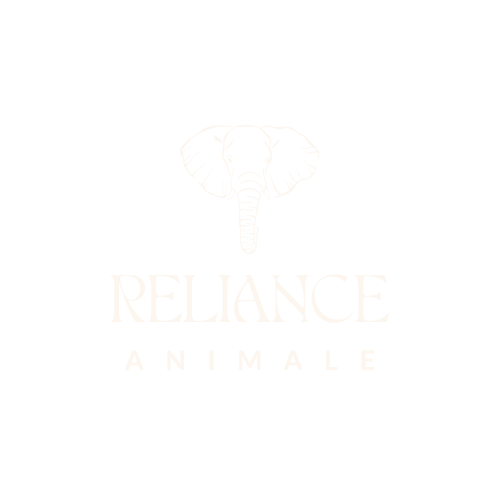 formation reliance animale communication animale instinctiva