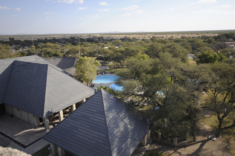 Retraite en Namibie DELEST RETREAT voyage initiatique Instinctiva