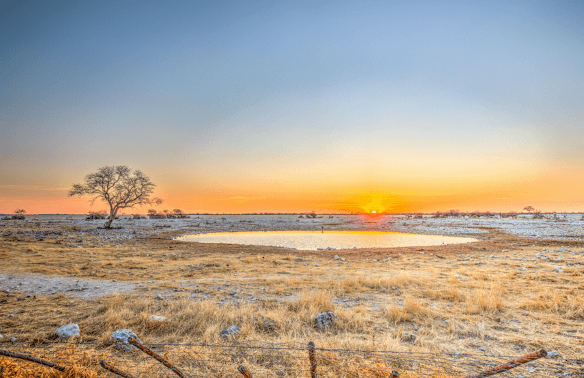 Okaukuejo Namibie safari Etosha retraite initiatique Instinctiva