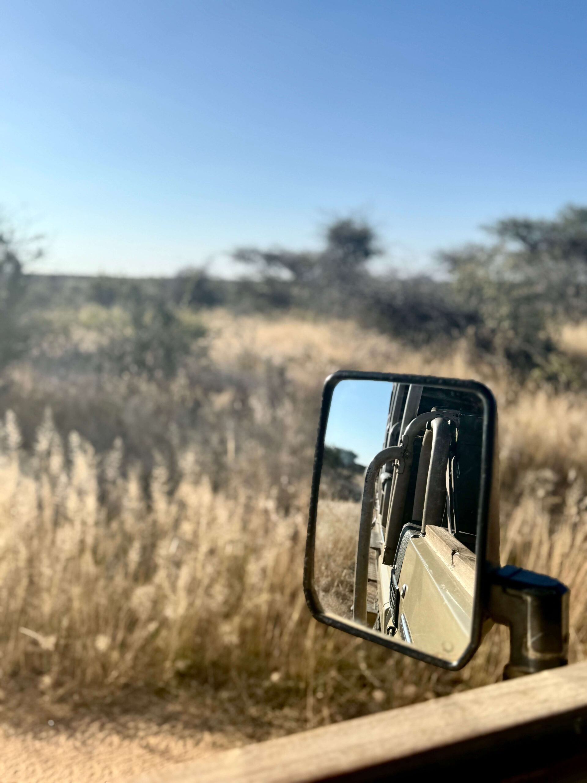 Safari initiatique Namibie — Delest Wild Retreat safari voyage