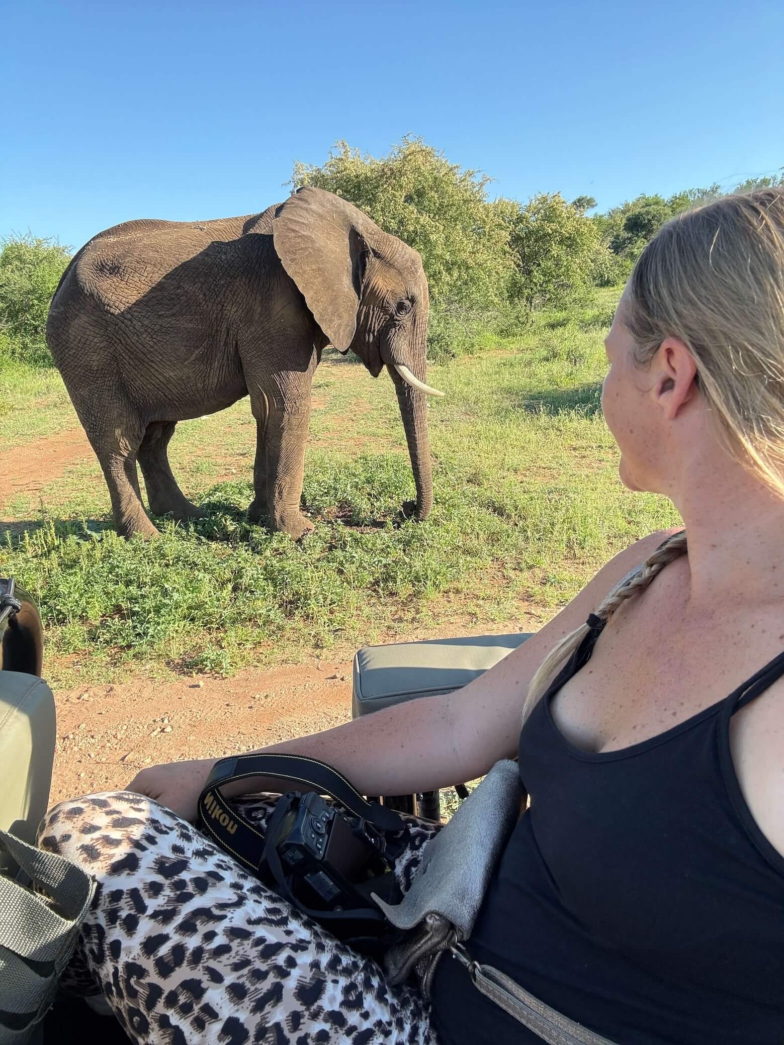 Safari initiatique Namibie — Delest Wild Retreat Léa Gutierrez