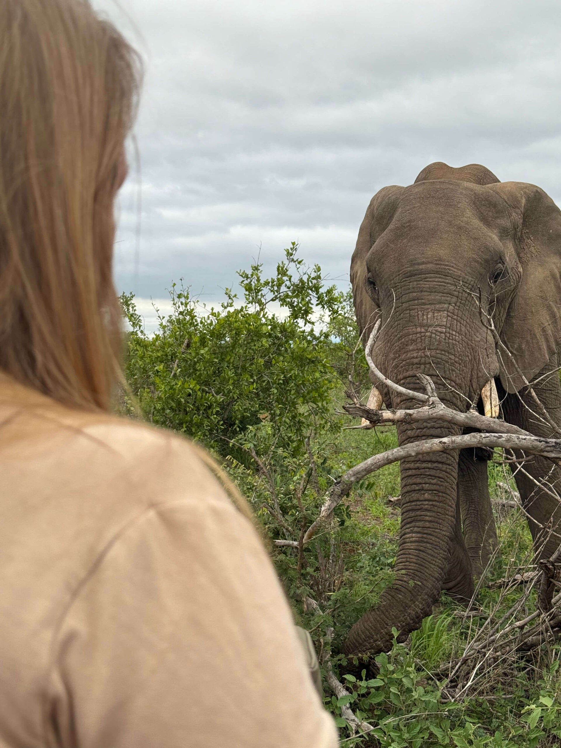 Retraite en Namibie DELEST RETREAT voyage initiatique Instinctiva