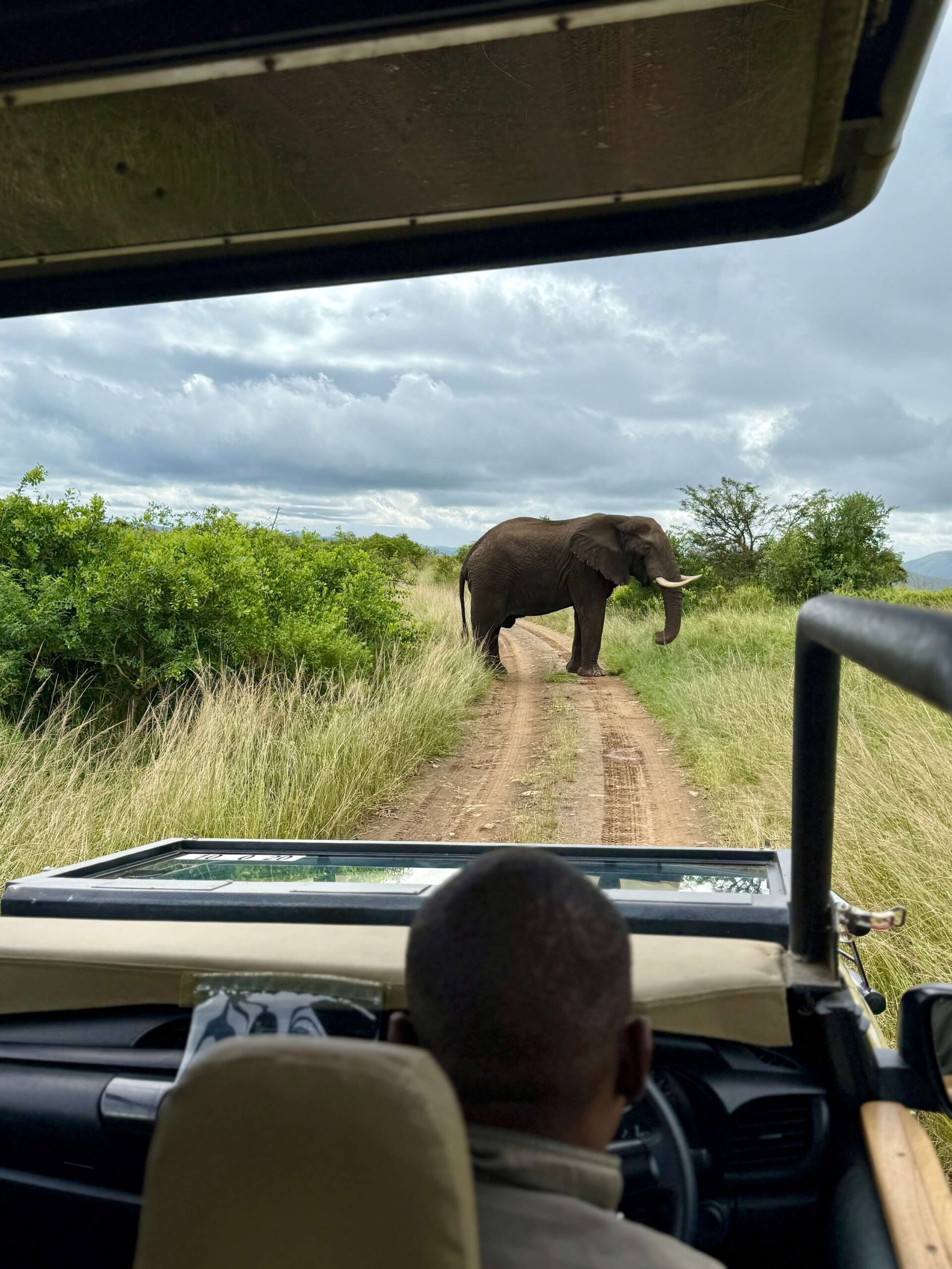 Léa accompagnatrice voyage initiatique Afrique safari